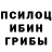 Галлюциногенные грибы MAGIC MUSHROOMS Kevin Debrah