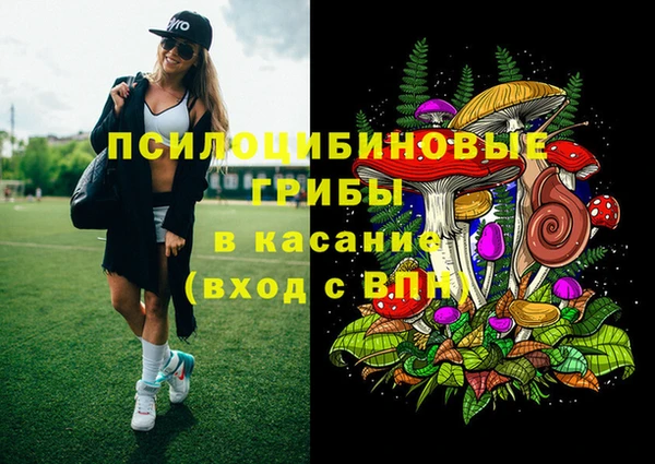 стаф Коряжма