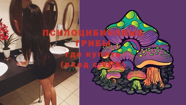 стаф Коряжма