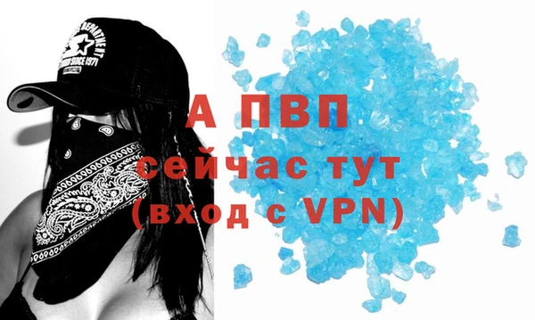 стаф Коряжма