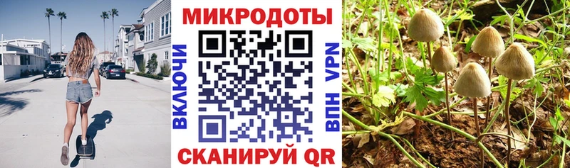 Купить закладки  Белая Калитва  Галлюциногенные грибы ЛСД 